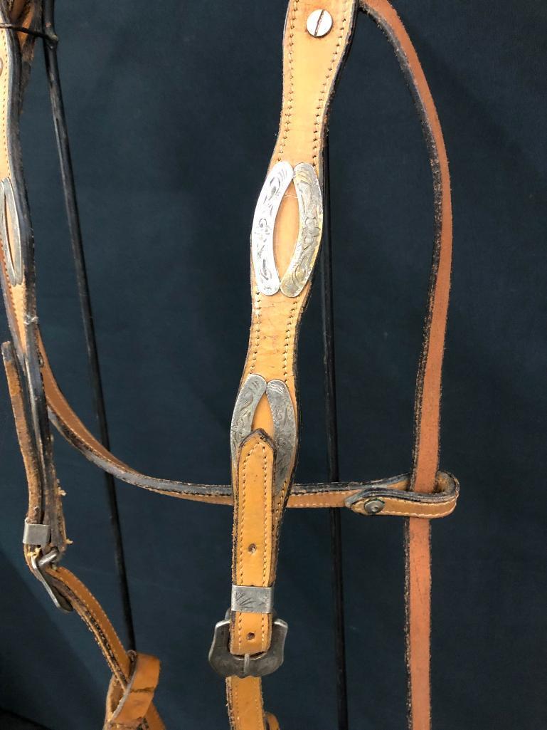 Argentine Bridle and Hackamore Set-Ups