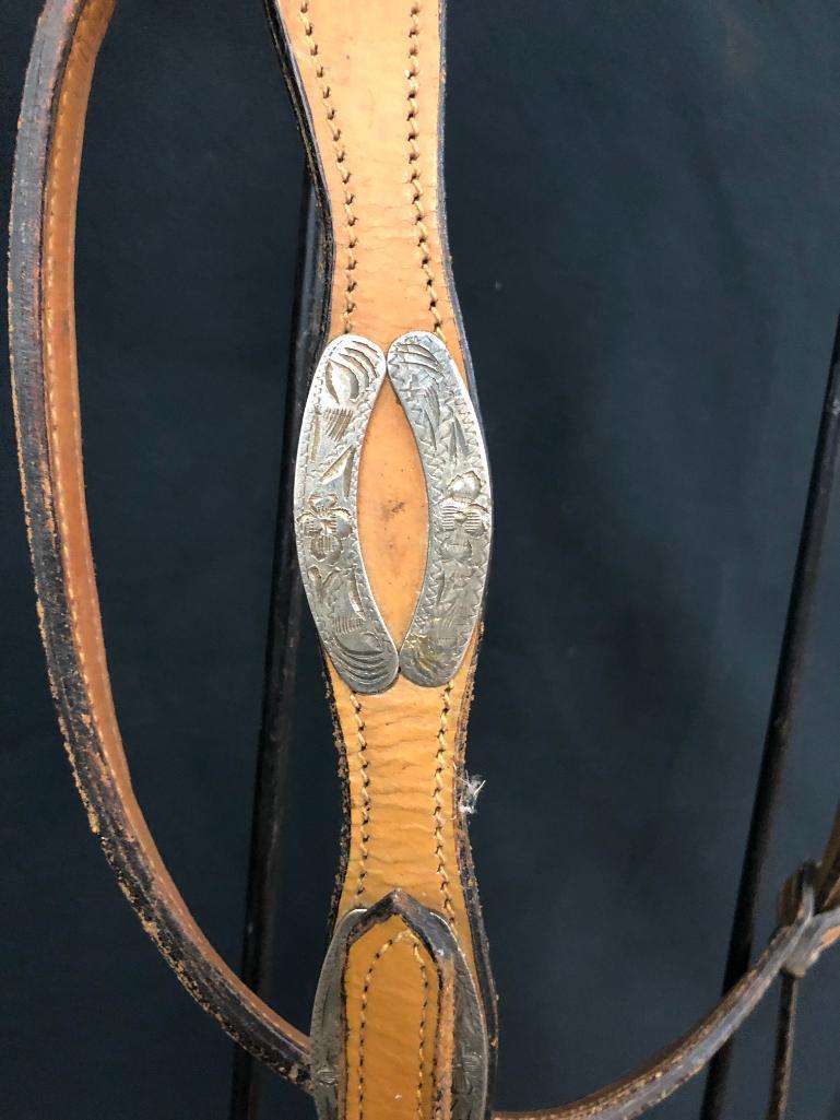 Argentine Bridle and Hackamore Set-Ups
