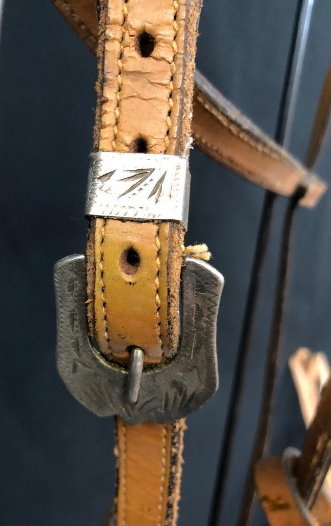 Argentine Bridle and Hackamore Set-Ups