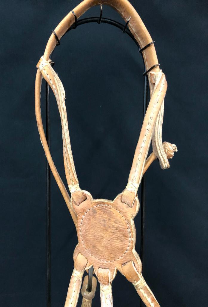 Argentine Bridle and Hackamore Set-Ups