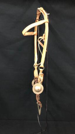 Argentine Bridle and Hackamore Set-Ups