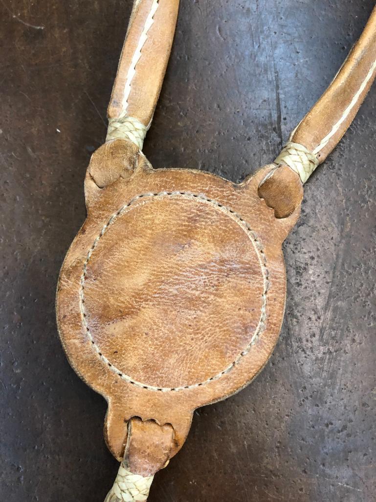 Argentine Bridle and Hackamore Set-Ups