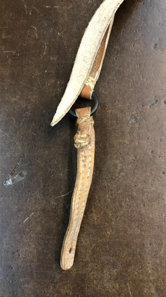 Argentine Bridle and Hackamore Set-Ups
