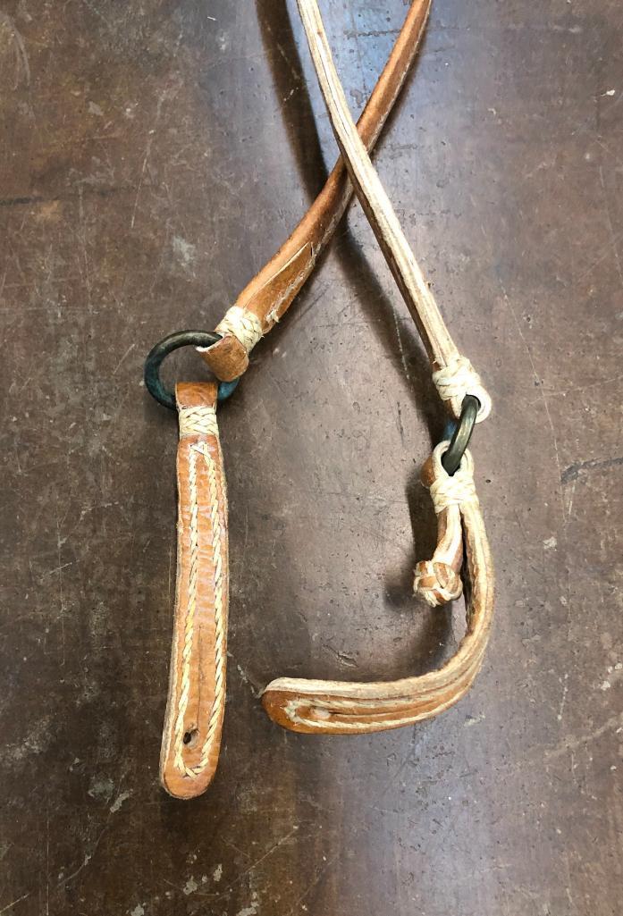 Argentine Bridle and Hackamore Set-Ups