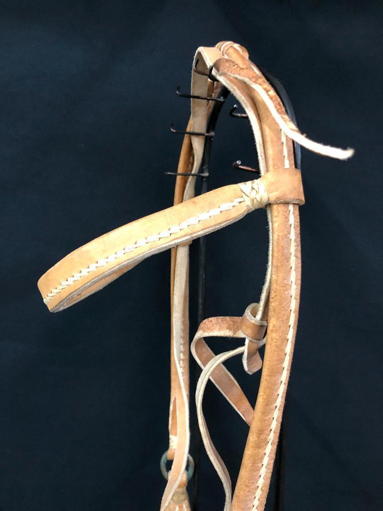 Argentine Bridle and Hackamore Set-Ups