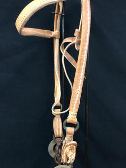 Argentine Bridle and Hackamore Set-Ups
