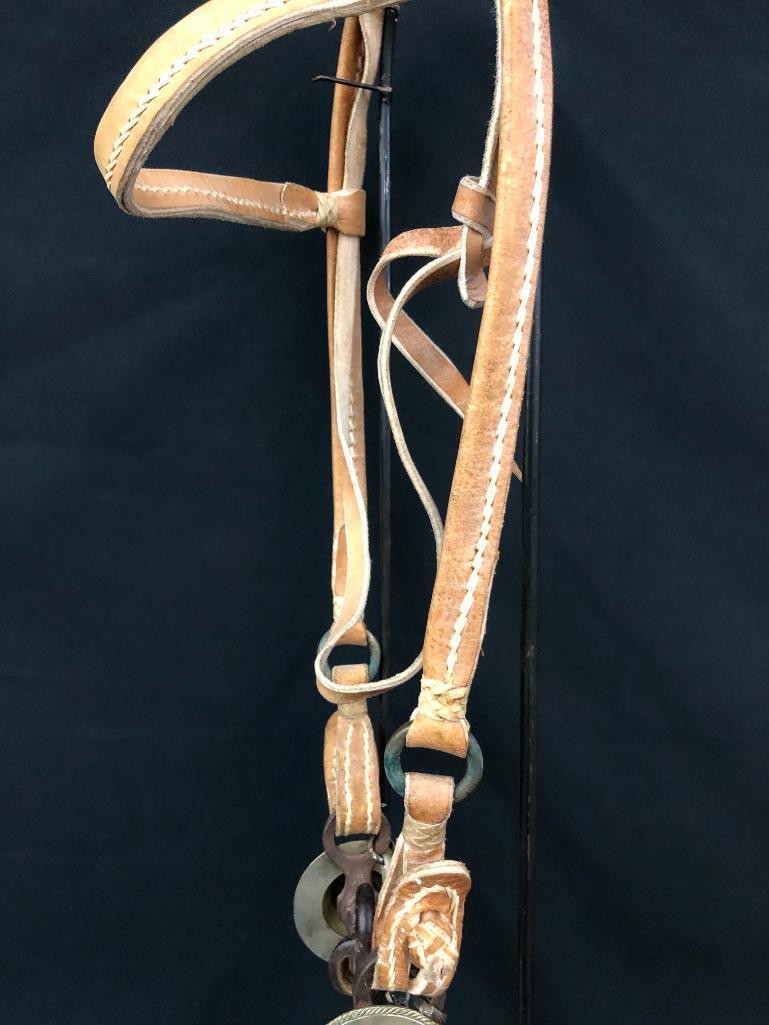 Argentine Bridle and Hackamore Set-Ups