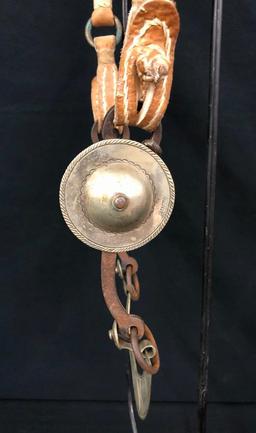 Argentine Bridle and Hackamore Set-Ups