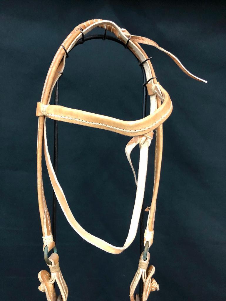 Argentine Bridle and Hackamore Set-Ups