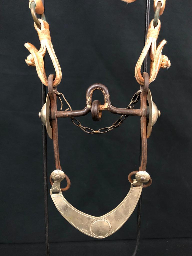 Argentine Bridle and Hackamore Set-Ups