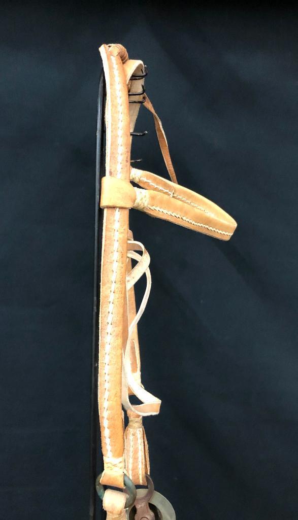 Argentine Bridle and Hackamore Set-Ups