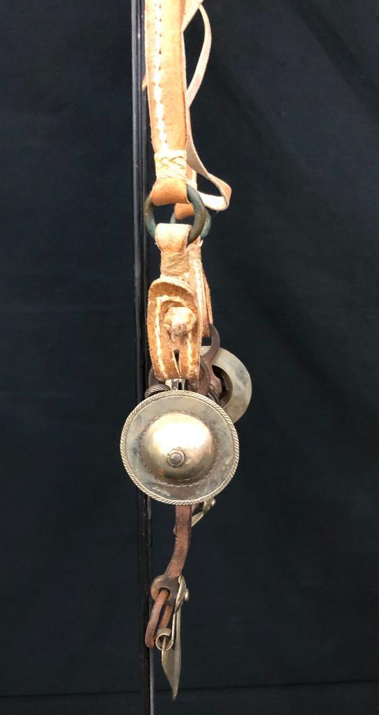 Argentine Bridle and Hackamore Set-Ups