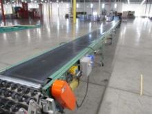 50ft Roach Motorized Conveyor