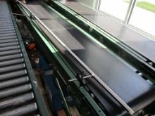 12ft Roach Motorized Conveyor