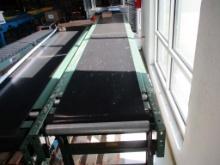 12ft Roach Motorized Conveyor