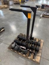 Rogue Rubber Hex Dumbbells and Dip Bar