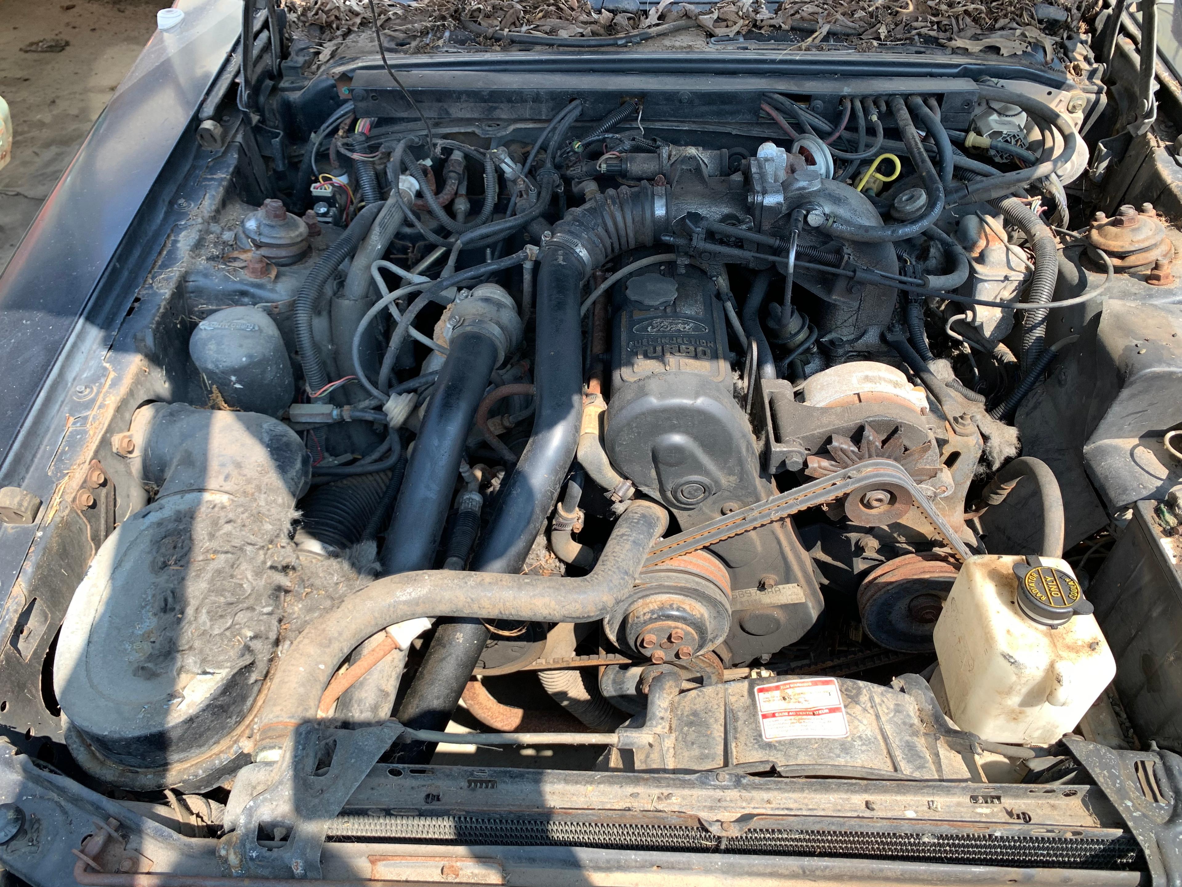 1986 Ford Tunderbird Turbo Coupe NO TITLE