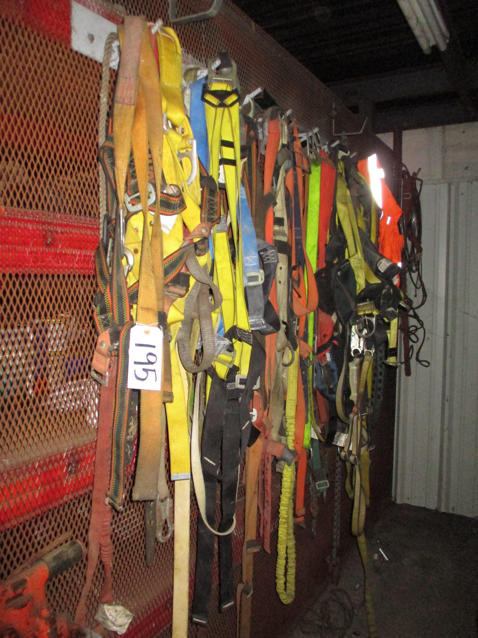 Assorted Safety Harnesses
