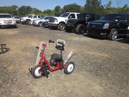 AmTryke Handicap Tricycle