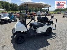 EZ Go RXV Golf Cart Gas