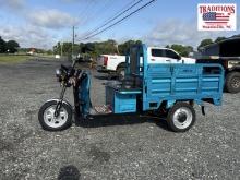 NEW IRET13 High-End Electric Tricycle