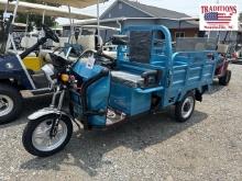 NEW IRET13 High-End Electric Tricycle