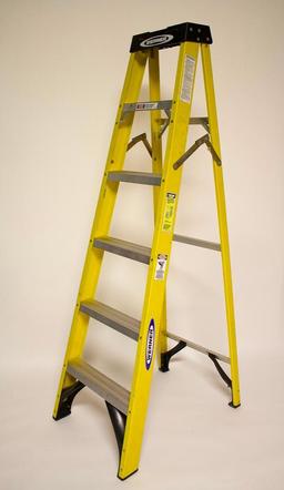 Werner Ladder