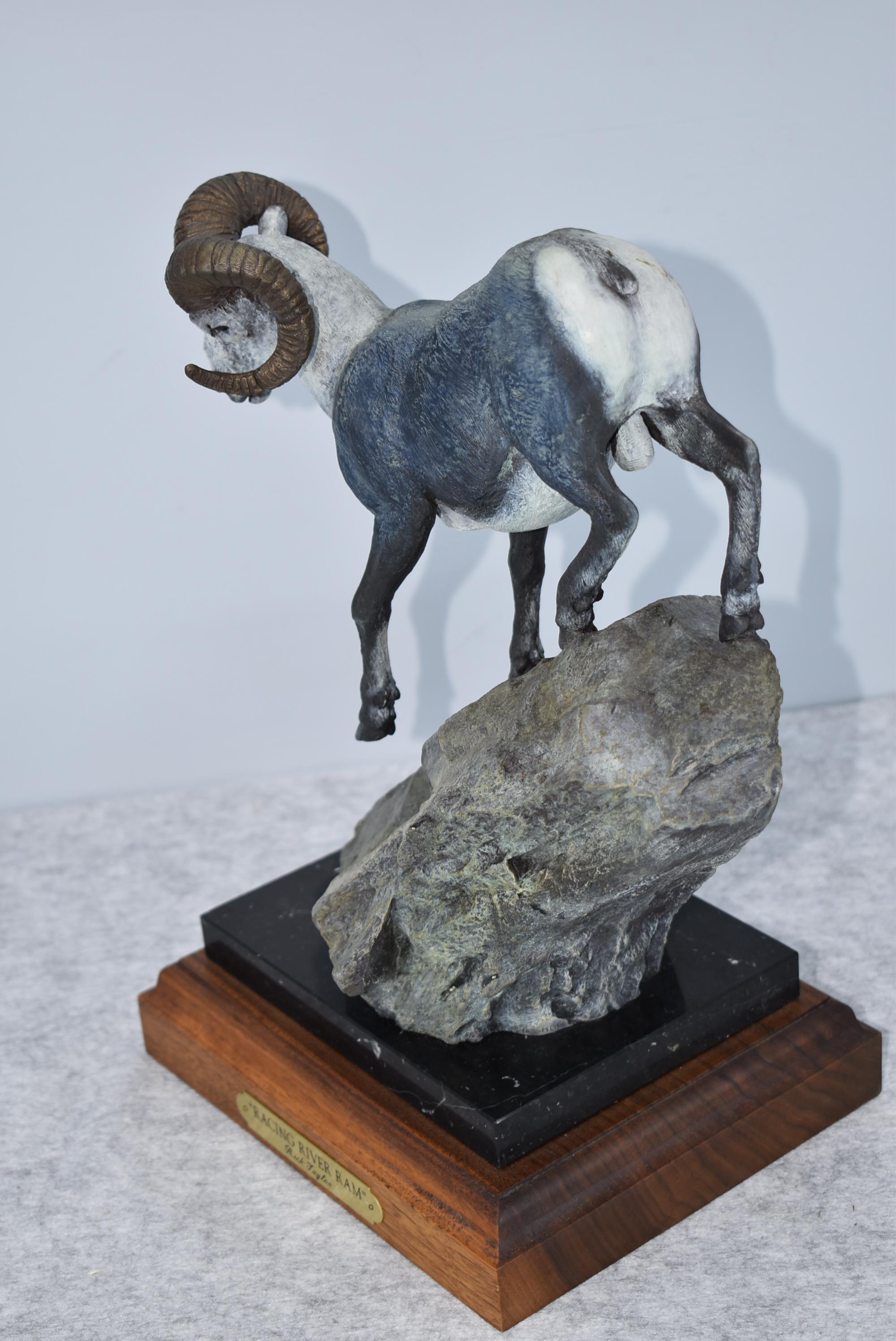 Signed Bronze – “Racing River Ram” of a Single Stone Sheep – By Rick Taylor – 14” High – Weighs 17.3