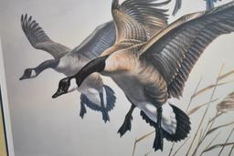 James Meger – “Wing Song Canadian Geese” – 389/500 – Framed & Double Matted Print