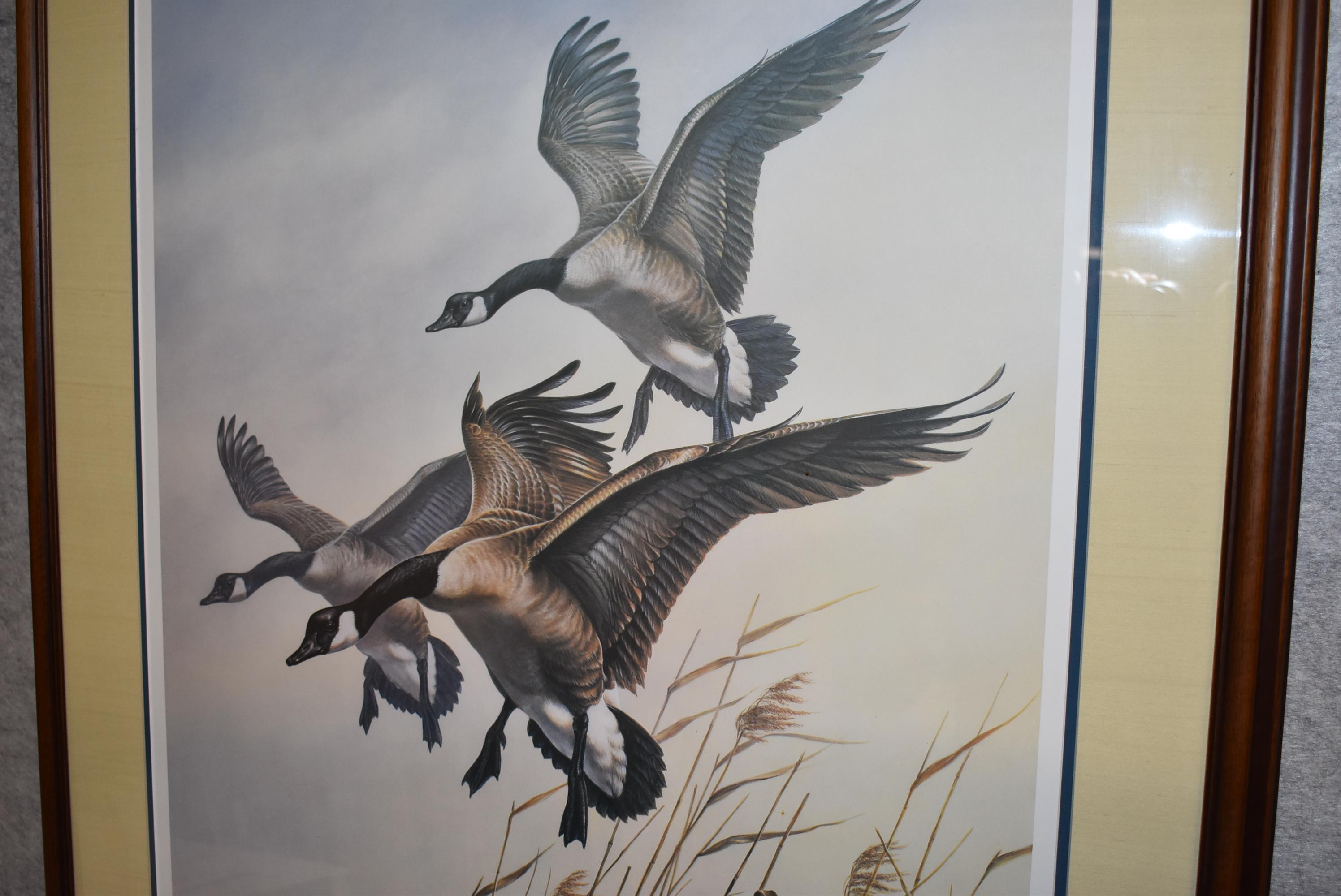 James Meger – “Wing Song Canadian Geese” – 389/500 – Framed & Double Matted Print
