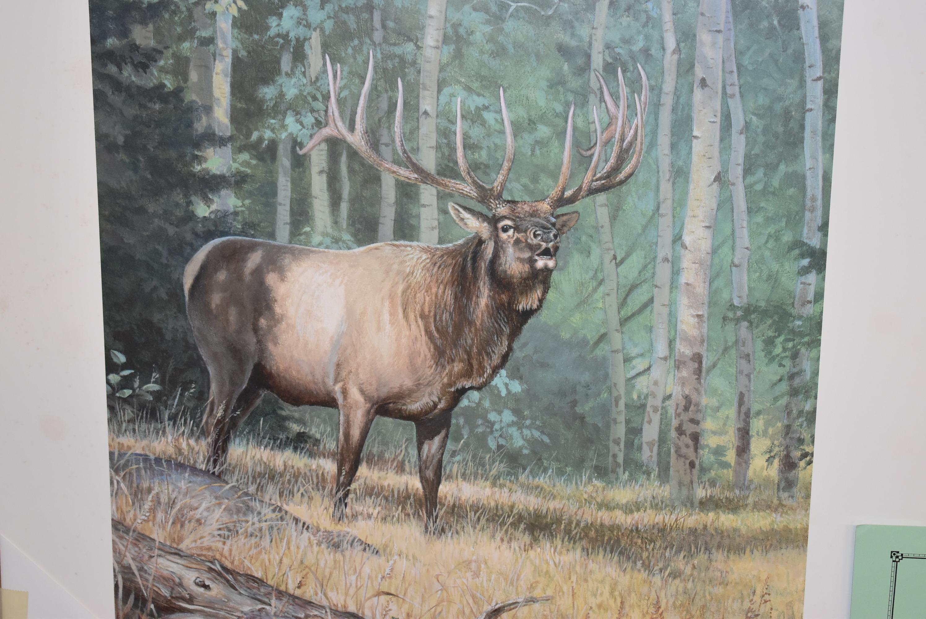 Ned Smith – “Looking for Trouble” – 1200/1260 – Unframed Print