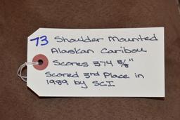 Shoulder Mounted Alaskan Caribou – Scores 374 3/8” – Scored 3rd Place in 1989 by SCI