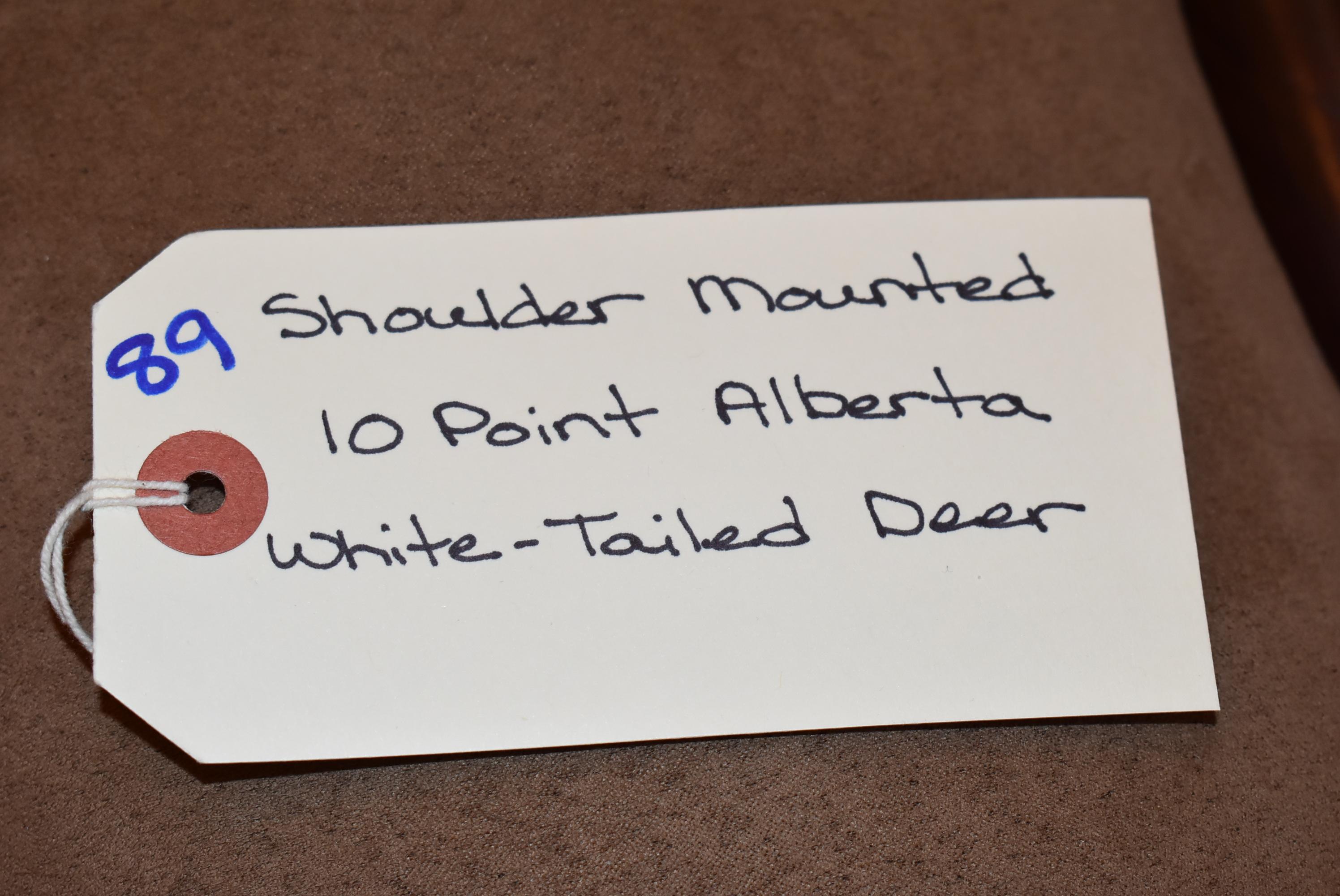 Shoulder Mounted 10 Point Alberta White-Tailed Deer
