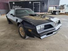 1977 Pontiac Firebird Trans Am - SELLING NO RESERVE!