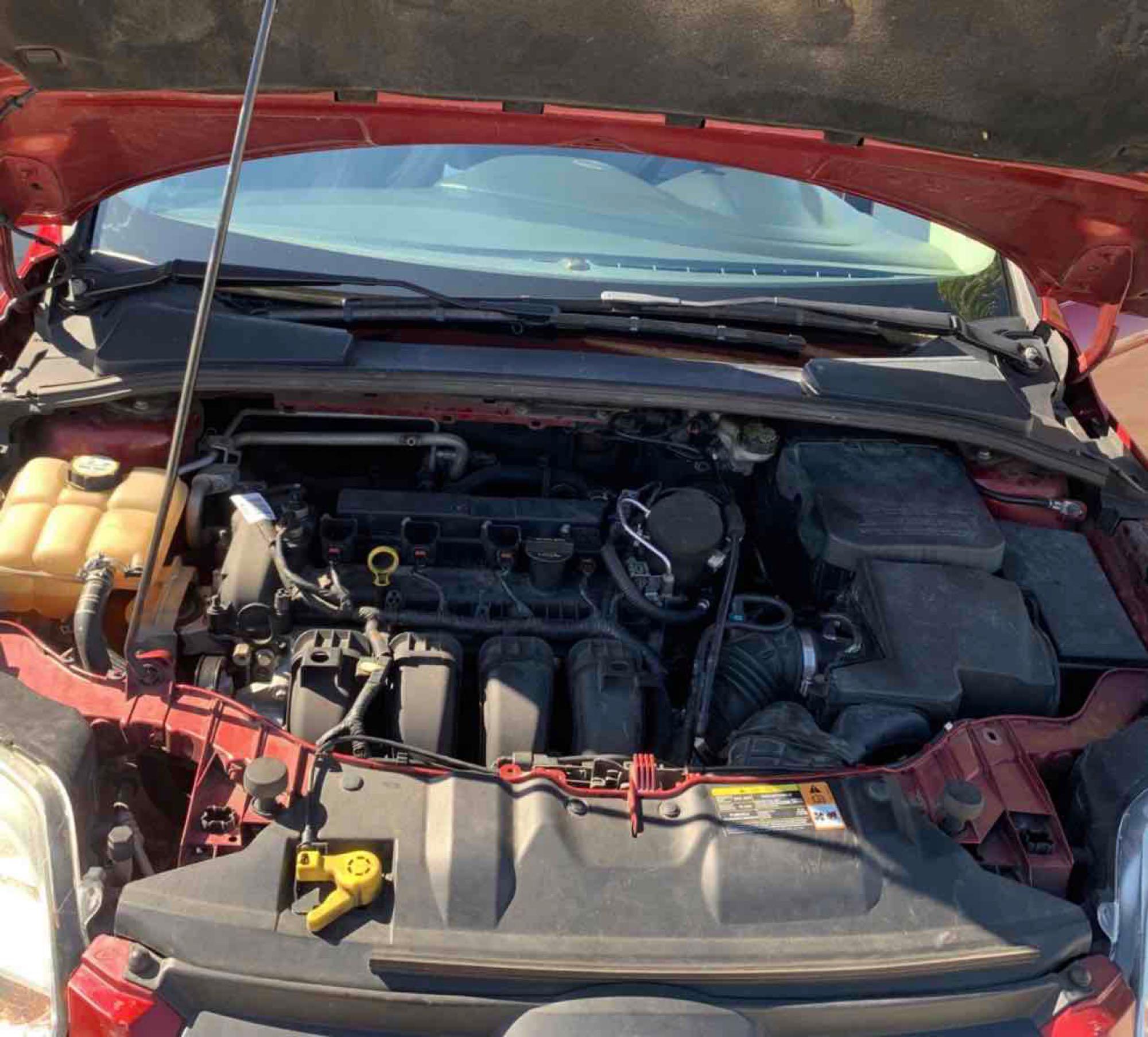 2013 Ford Focus
