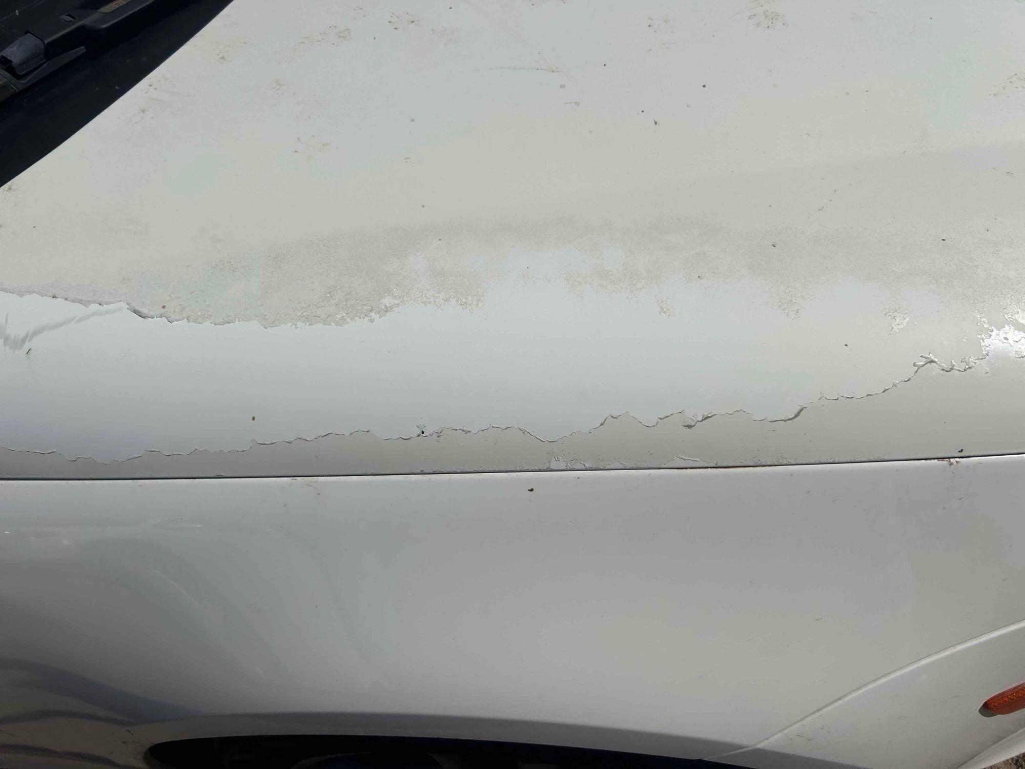 2008 Volkswagen Eos