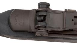 *Springfield Armory M1A Rifle