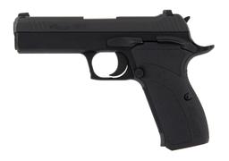 *Sig Sauer P210 Pistol