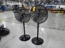LOT (2) PEDESTAL FANS