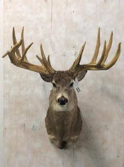 REPRODUCTION-THE GOTT BUCK FROM OHIO