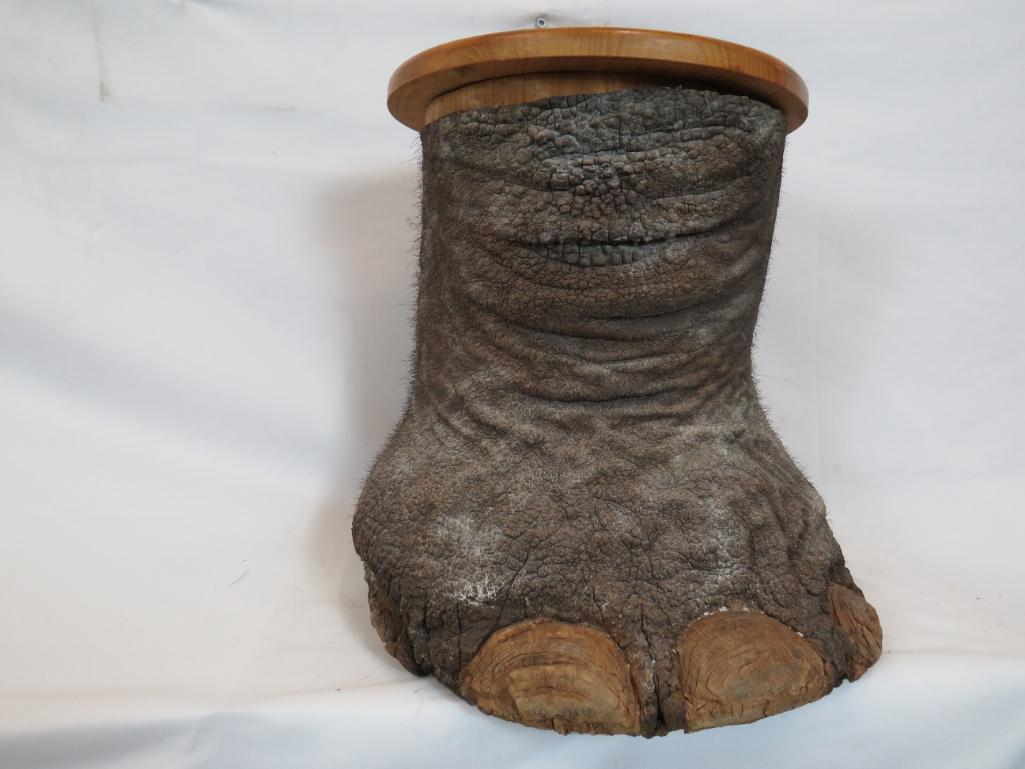 XL ELEPHANT FOOT TRASH CAN (US RESIDENTS ONLY)