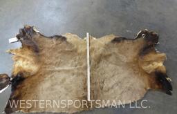 ELK BACKHIDE TAXIDERMY