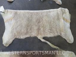 3 African Back Hides (3x$) TAXIDERMY