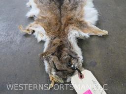 Wallaby Hide -Very Soft TAXIDERMY