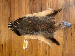 Large lifesize, tanned Badger hide or skin, great fur, ALL claws, 33 inches long, all parts here for