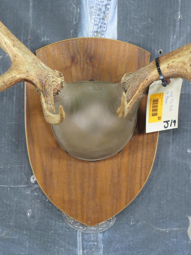 Small Elk Rack on Plaque TAXIDERMY