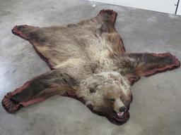 Nice Felted Grizzly Bear Rug w/Mounted Head -No claws TAXIDERMY