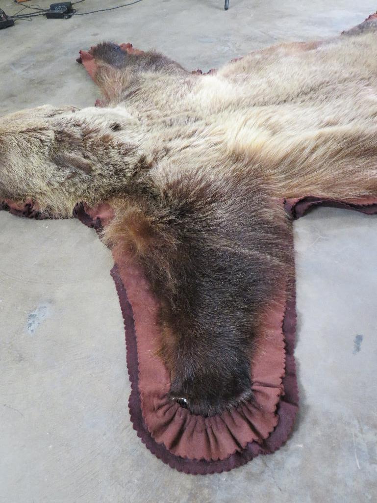 Nice Felted Grizzly Bear Rug w/Mounted Head -No claws TAXIDERMY