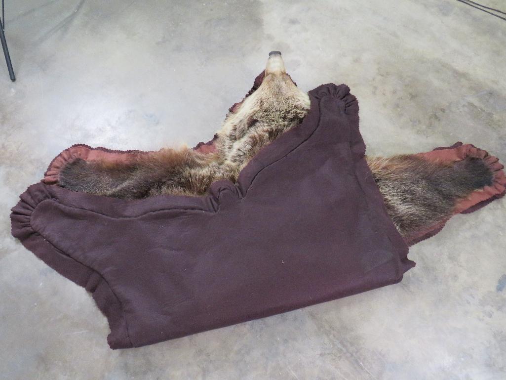 Nice Felted Grizzly Bear Rug w/Mounted Head -No claws TAXIDERMY