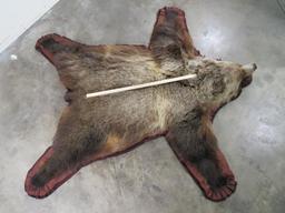 Nice Felted Grizzly Bear Rug w/Mounted Head -No claws TAXIDERMY